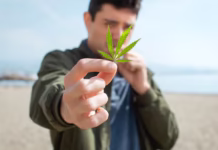 How do you know if CBD oil is safe for long-term use? CBD